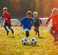 双色球神秘,解码,期必中彩图,山东体彩,山东体彩网,山东体彩网官网,体育彩票,体彩大乐透,竞彩足球,体彩公益