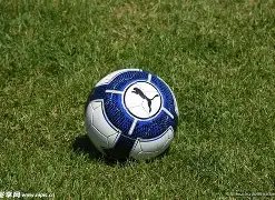 凤尾解码,双彩秘籍,双色球,山东体彩,山东体彩网,山东体彩网官网,体育彩票,体彩大乐透,竞彩足球,体彩公益