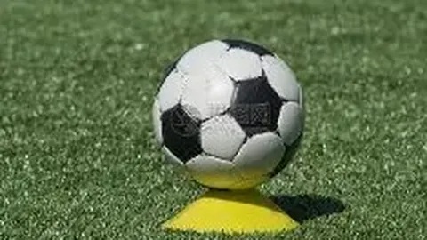 山东体彩网 资讯 113727 ywb