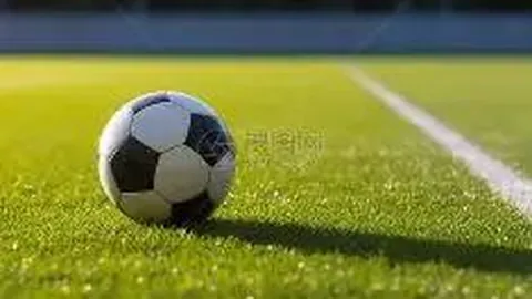 【双色球26011期】预测达人精准杀蓝，惊喜连连，昨日战绩亮眼！🎉🔥