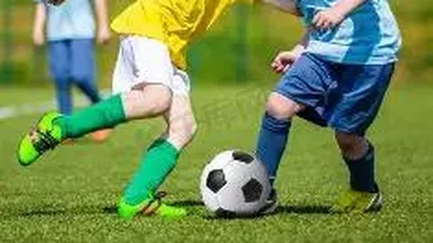 2026021期3D号码大揭秘：海滨独家精选，每日胆码预测精准放送！